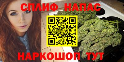 шишки Краснодар