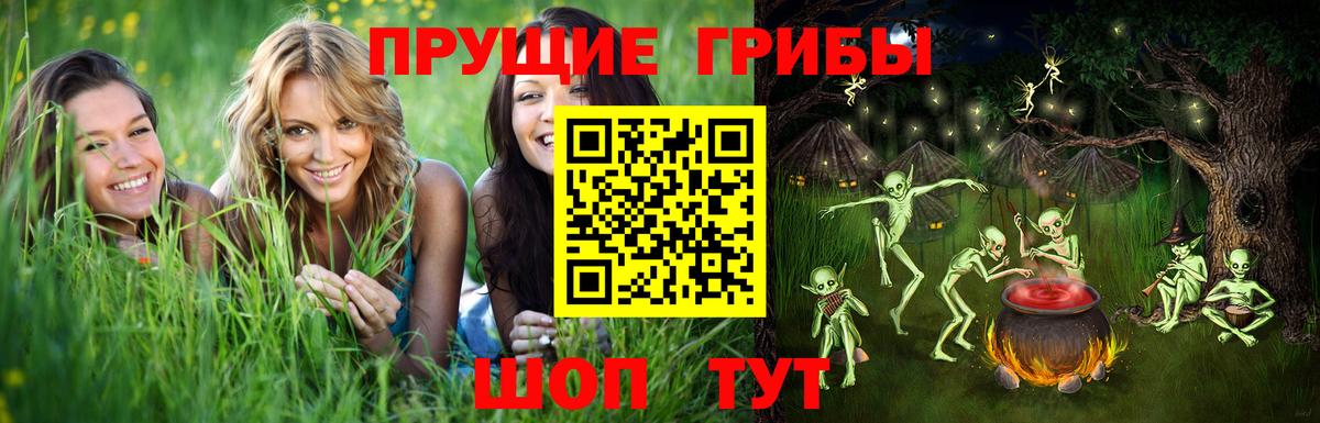 Галлюциногенные грибы Cubensis  Вход с VPN  Жигулёвск 